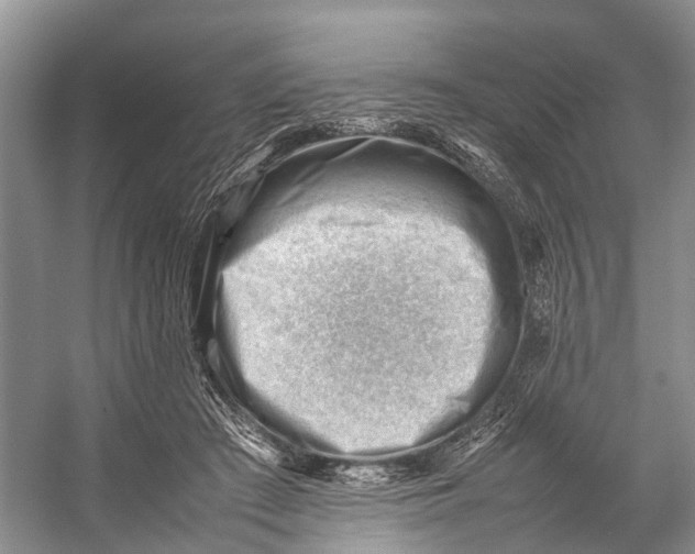 X0000053150409200508081416