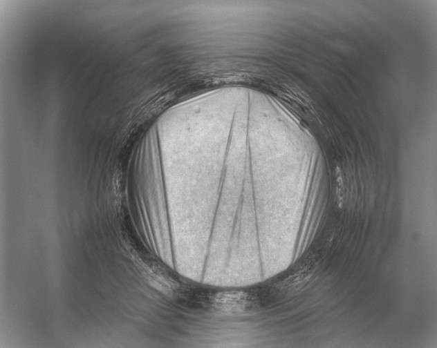 X0000053150410200508081416