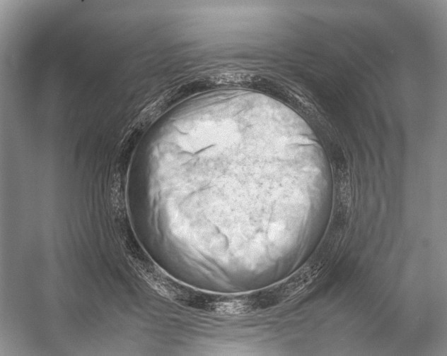 X0000053150411200508081416