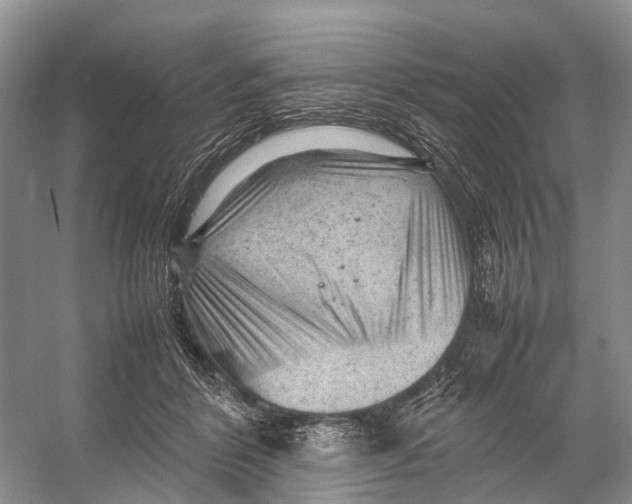 X0000053150412200508081416