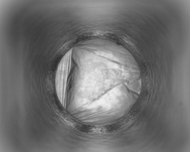 X0000053150415200508081415