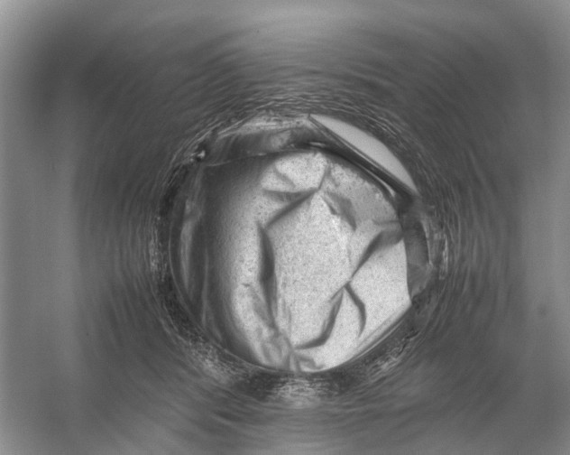 X0000053150416200508081415