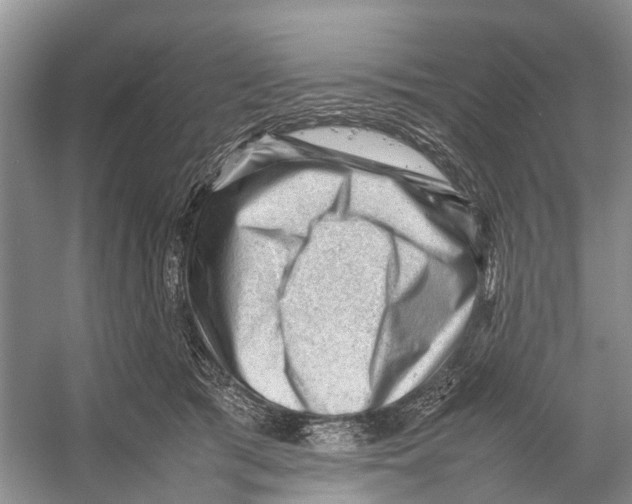 X0000053150417200508081415