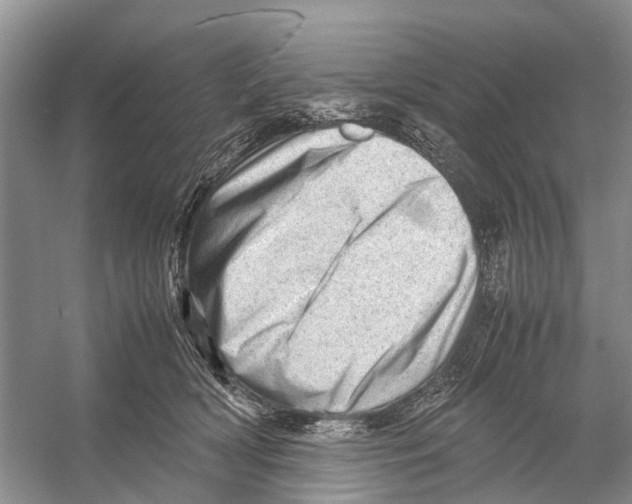 X0000053150418200508081415