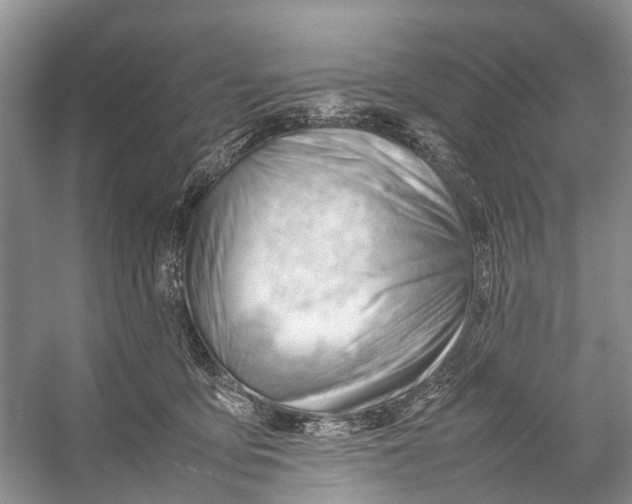 X0000053150419200508081415