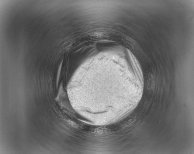 X0000053150420200508081415