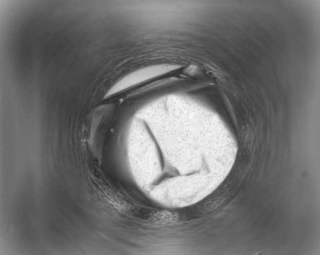 X0000053150421200508081415