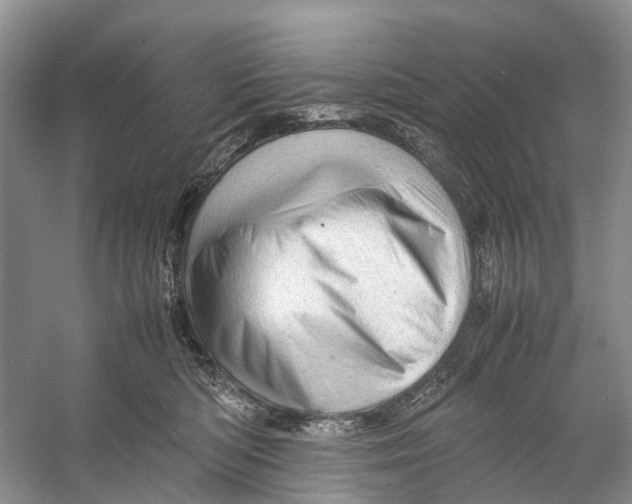 X0000053150422200508081415