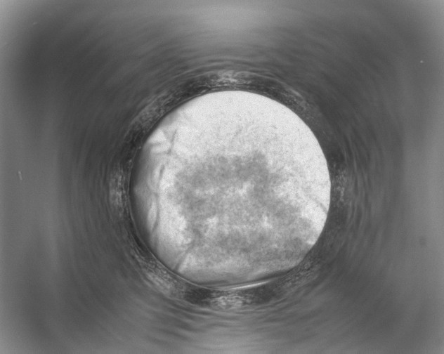 X0000053150423200508081415