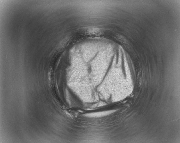 X0000053150424200508081415