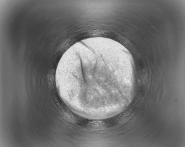 X0000053150427200508081415