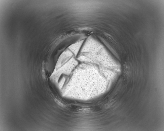 X0000053150428200508081415