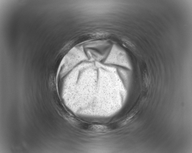 X0000053150429200508081415