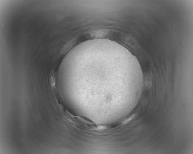 X0000053150431200508081415