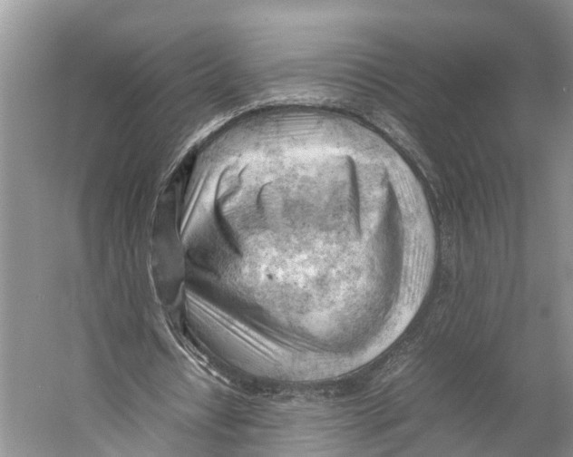 X0000053150434200508081414