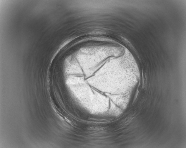 X0000053150435200508081414