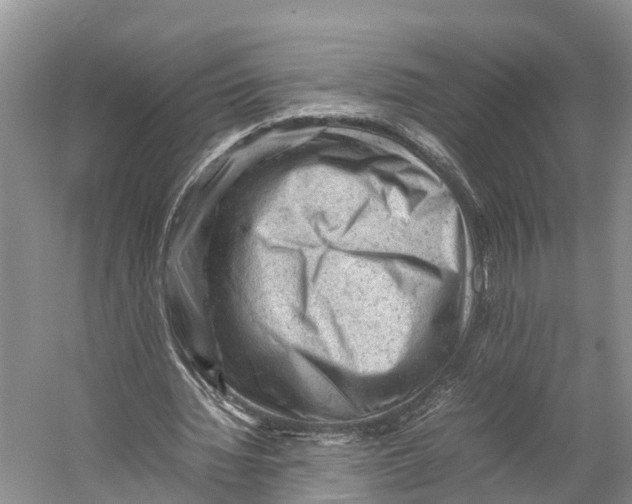 X0000053150436200508081414