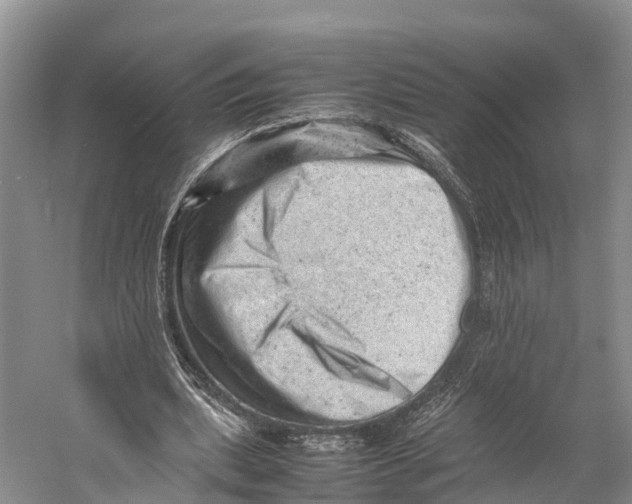 X0000053150439200508081414