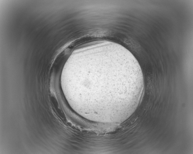 X0000053150440200508081414