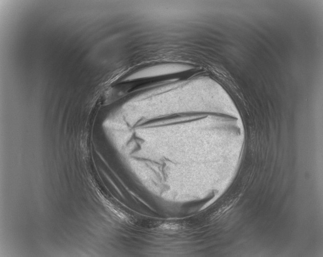 X0000053150441200508081414