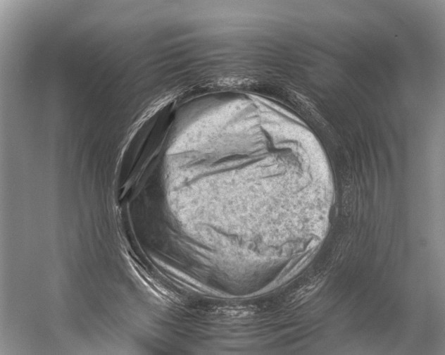 X0000053150443200508081415