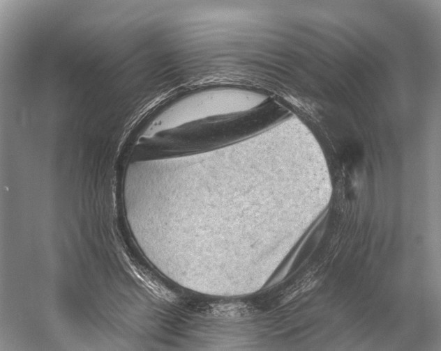 X0000053150446200508081415