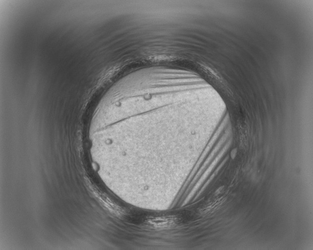 X0000053150447200508081415