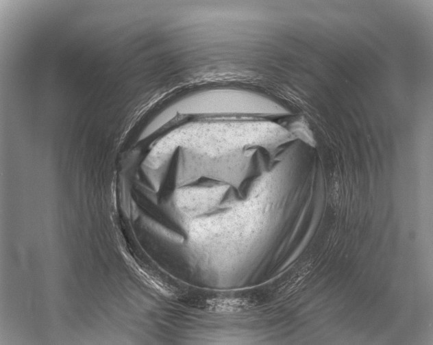 X0000053150448200508081415