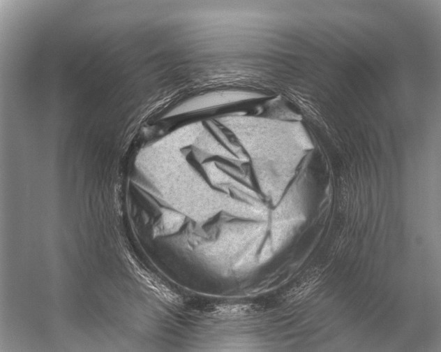 X0000053150450200508081415