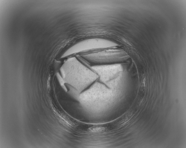 X0000053150452200508081415