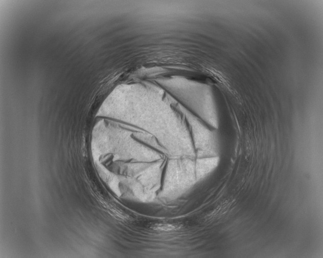 X0000053150453200508081415