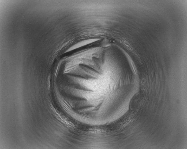 X0000053150454200508081415