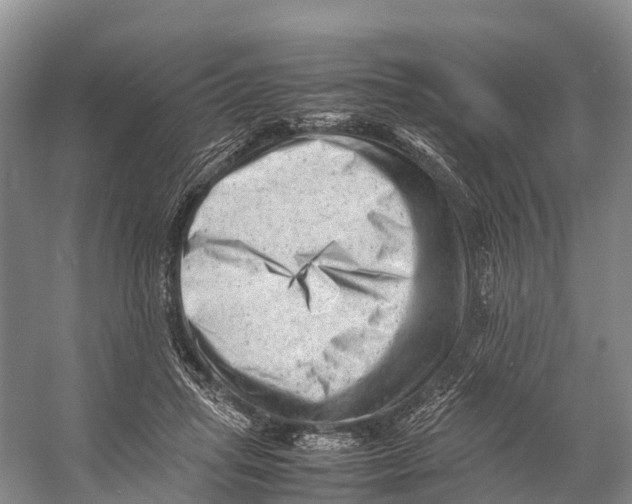 X0000053150455200508081415