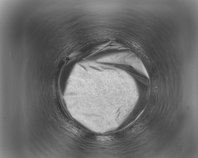 X0000053150457200508081415