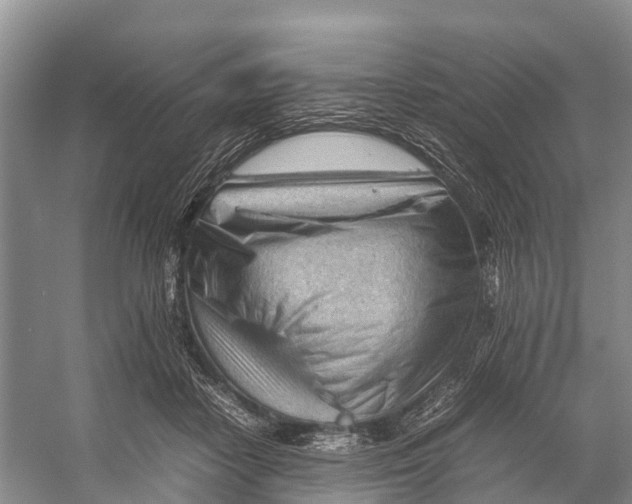 X0000053150458200508081415