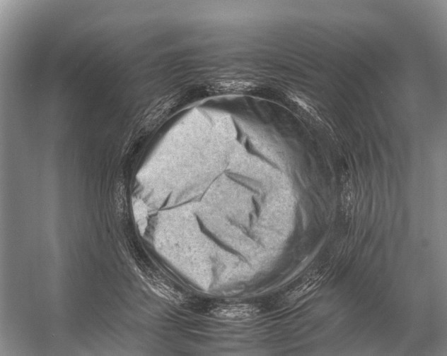 X0000053150459200508081415