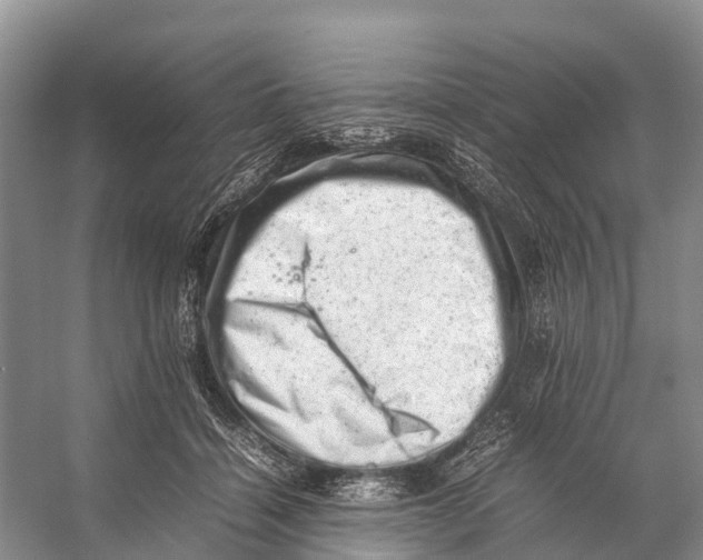 X0000053150460200508081415