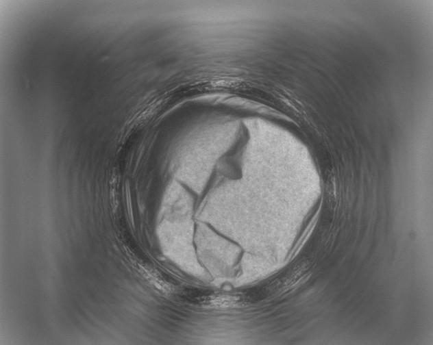 X0000053150462200508081415