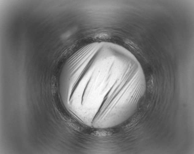 X0000053150464200508081415