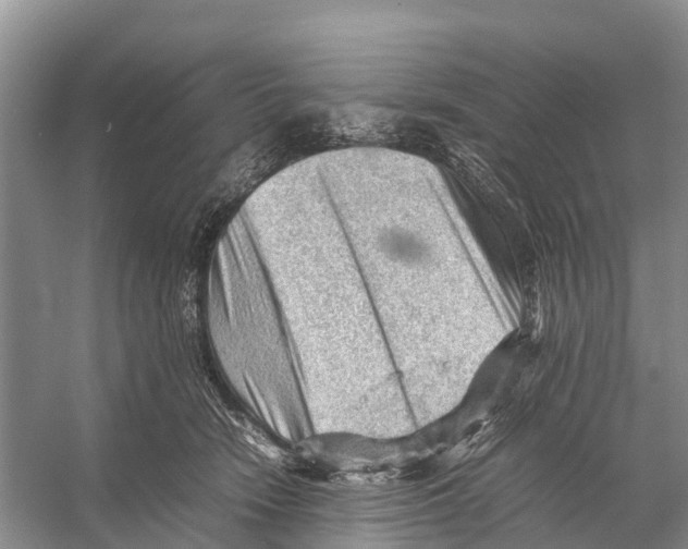 X0000053150466200508081415