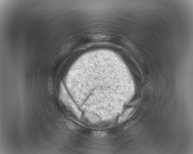 X0000053150469200508081415