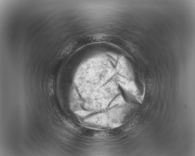 X0000053150470200508081415