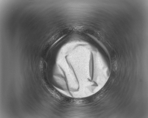 X0000053150472200508081415