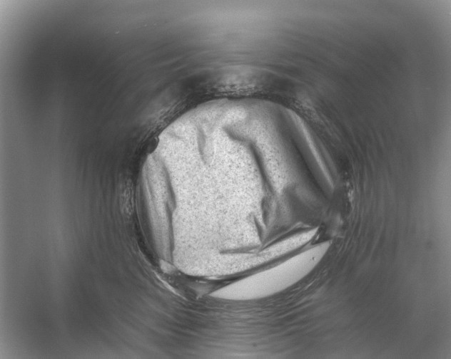 X0000053150474200508081415