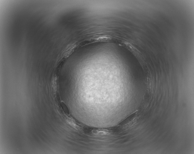 X0000053150475200508081415