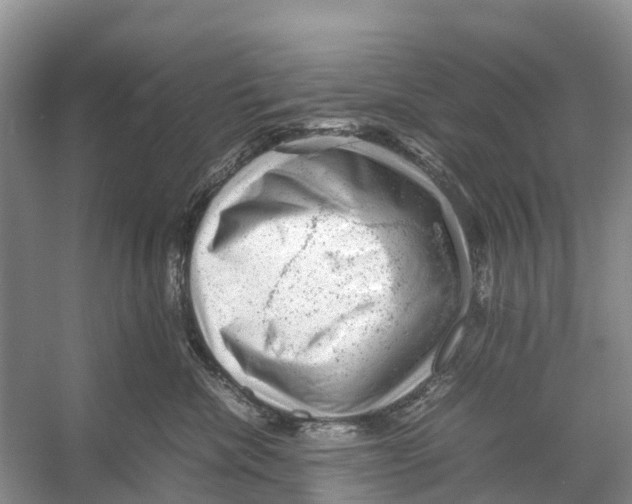 X0000053150476200508081415