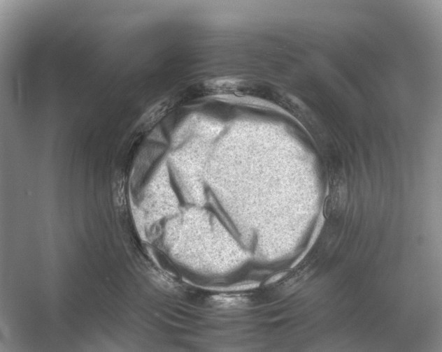 X0000053150477200508081415