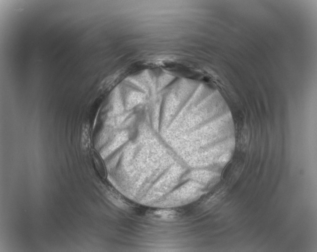 X0000053150478200508081415