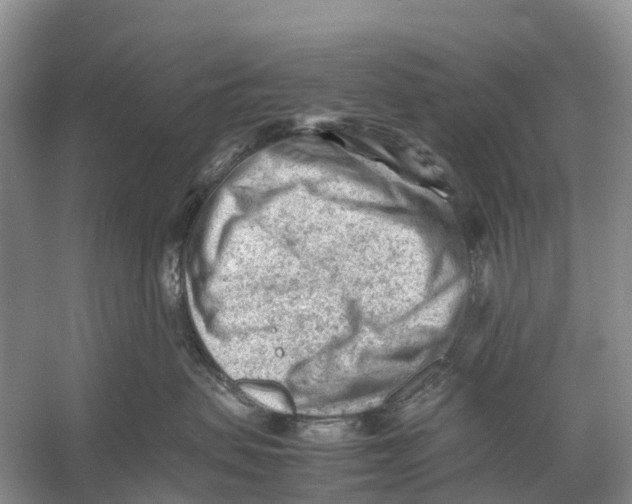 X0000053150479200508081415