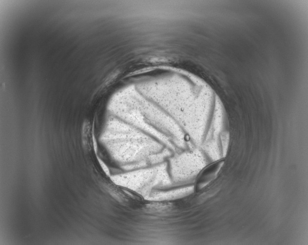 X0000053150480200508081415